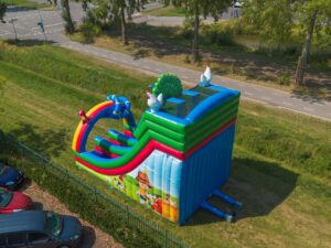 Rutsche Doppelt Birds aufblasbar kaufen 2