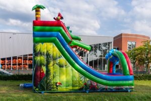 Rutsche doppelt Krokodil kaufen 2