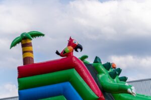 Rutsche doppelt Krokodil kaufen 3