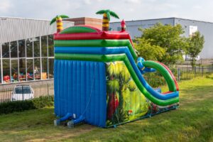 Rutsche doppelt Krokodil kaufen 4