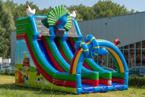 Rutsche Doppelt Birds aufblasbar kaufen