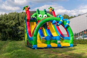 Rutsche doppelt Krokodil kaufen 11