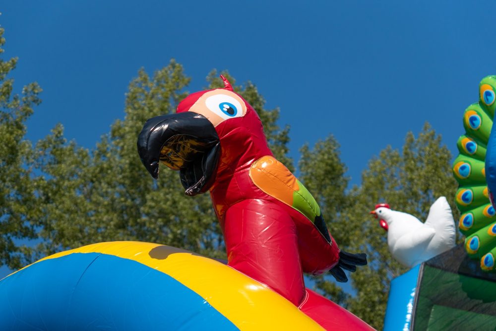 Rutsche Doppelt Birds aufblasbar kaufen 11
