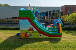 Rutsche Doppelt Birds aufblasbar kaufen 4