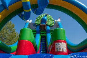 Rutsche Doppelt Birds aufblasbar kaufen 8