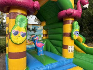 Multifun mini Paradies