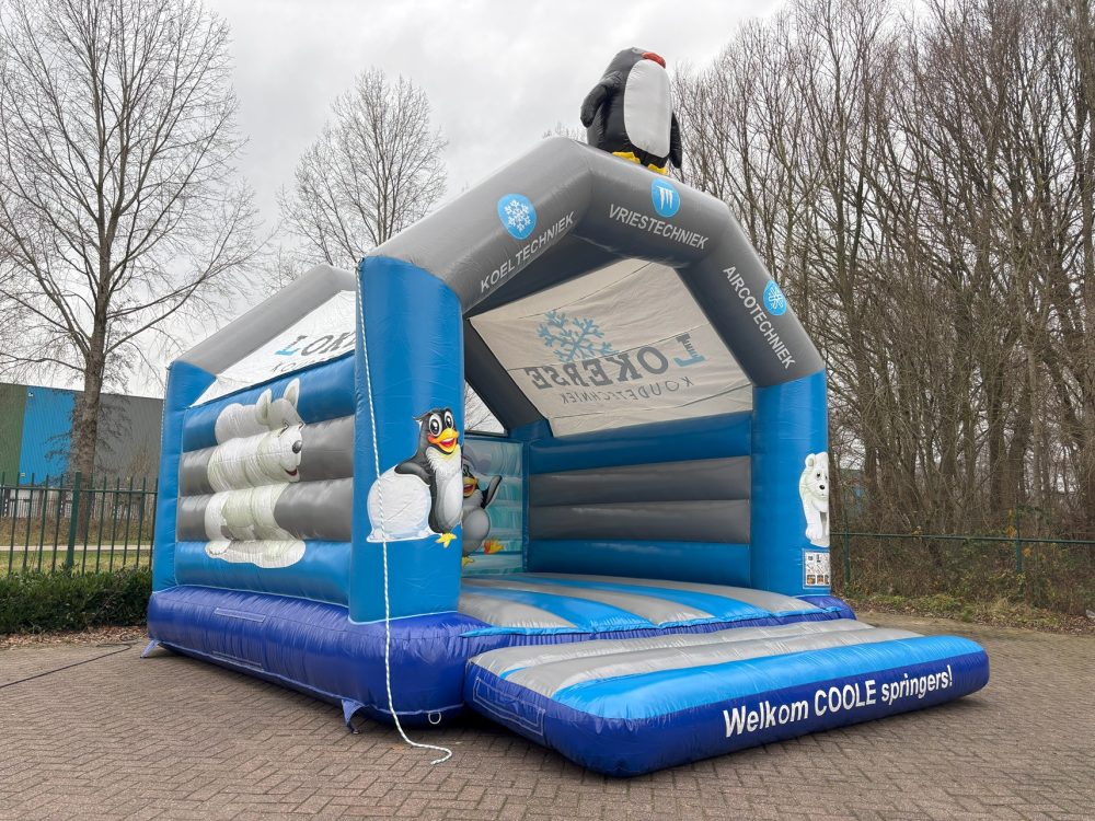 eine Hüpfburg wie die der Firma Lokerse Kältetechnik kaufen?