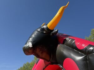 Kompakte Rutsche 'Stier'