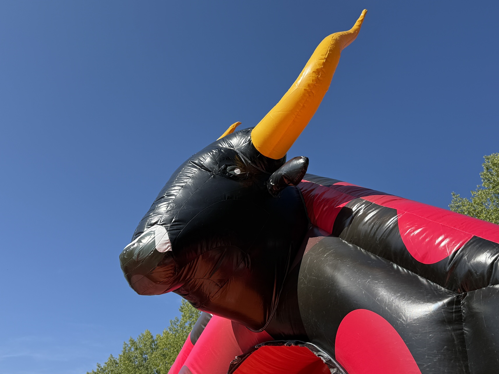 Kompakte Rutsche 'Stier'