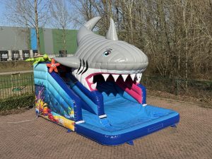 Kompakt Rutsche Hai kaufen