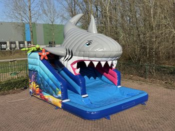 Kompakt Rutsche Hai kaufen