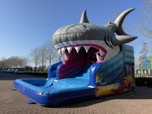 Kompakt Rutsche Hai kaufen II