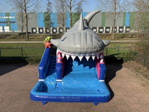 Kompakt Rutsche Hai kaufen III