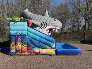 Kompakt Rutsche Hai kaufen IV