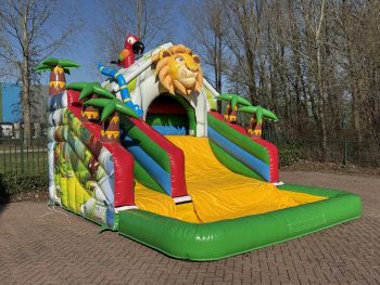 Dschungel-Rutsche im Kompaktformat kaufen