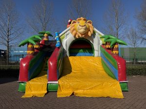 Dschungel-Rutsche im Kompaktformat kaufen I