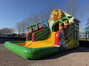 Dschungel-Rutsche im Kompaktformat kaufen II