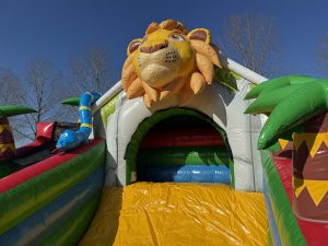 Dschungel-Rutsche im Kompaktformat kaufen III